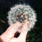 How to Plan Enjoyable Day Trips With Less Stress